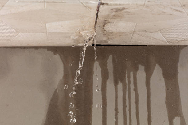 Professional Structural Drying technician working in Littlefield, TX